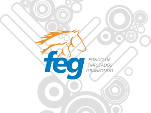 Logo Feg